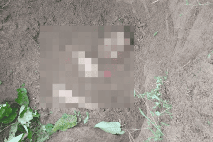 Corpo é encontrado enterrado no litoral do Piauí
