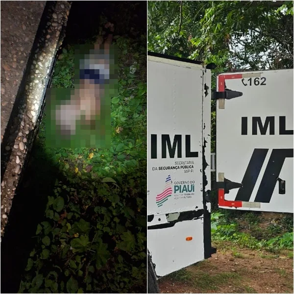 Corpo decapitado e com pés e mãos amarrados foi encontrado em área de mata no bairro Ilhotas