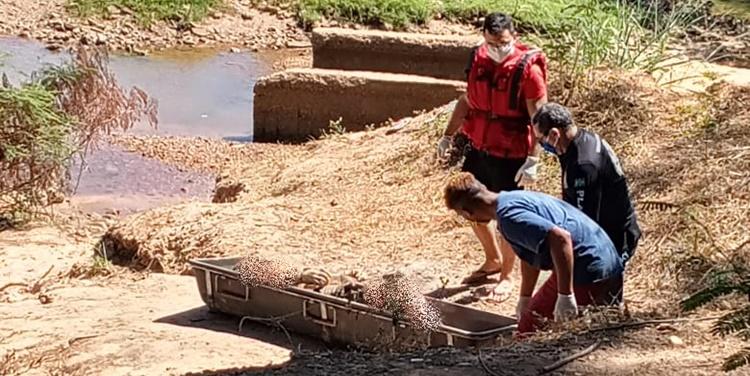 Vítima estava sem documentos e ainda não foi identificada