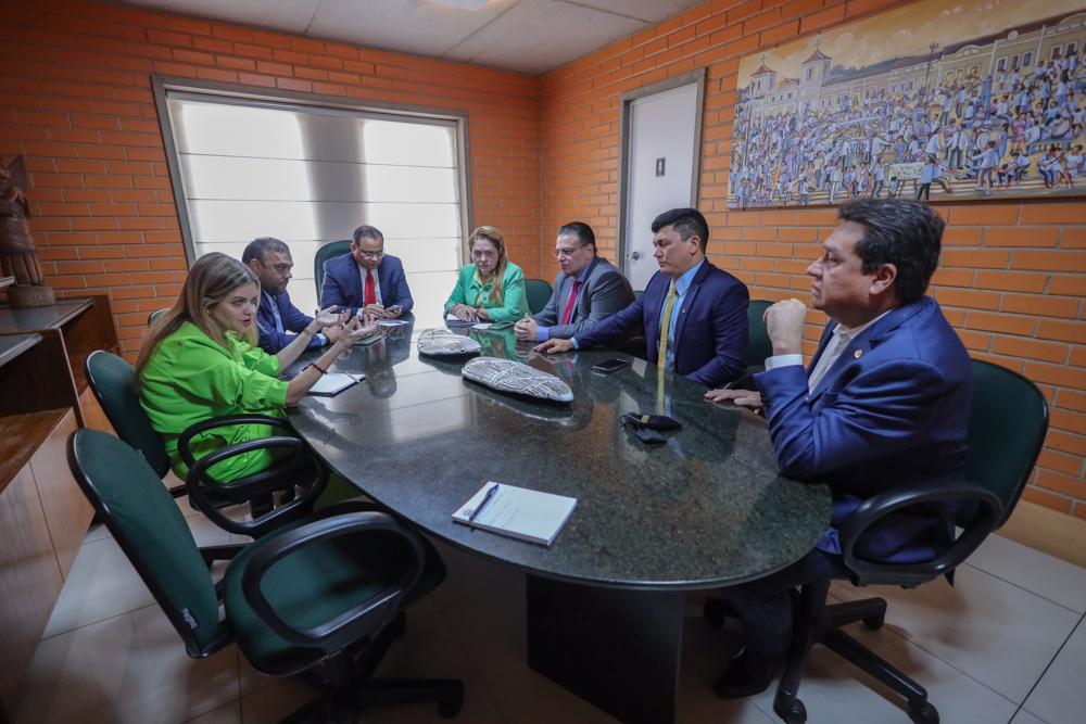 Comissão para a CPI se reúne na Alepi