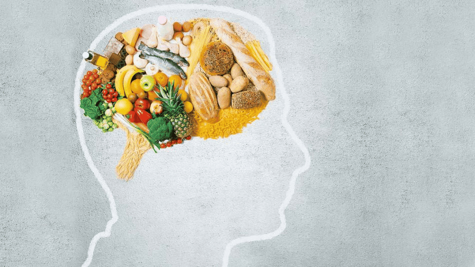 Alimentação