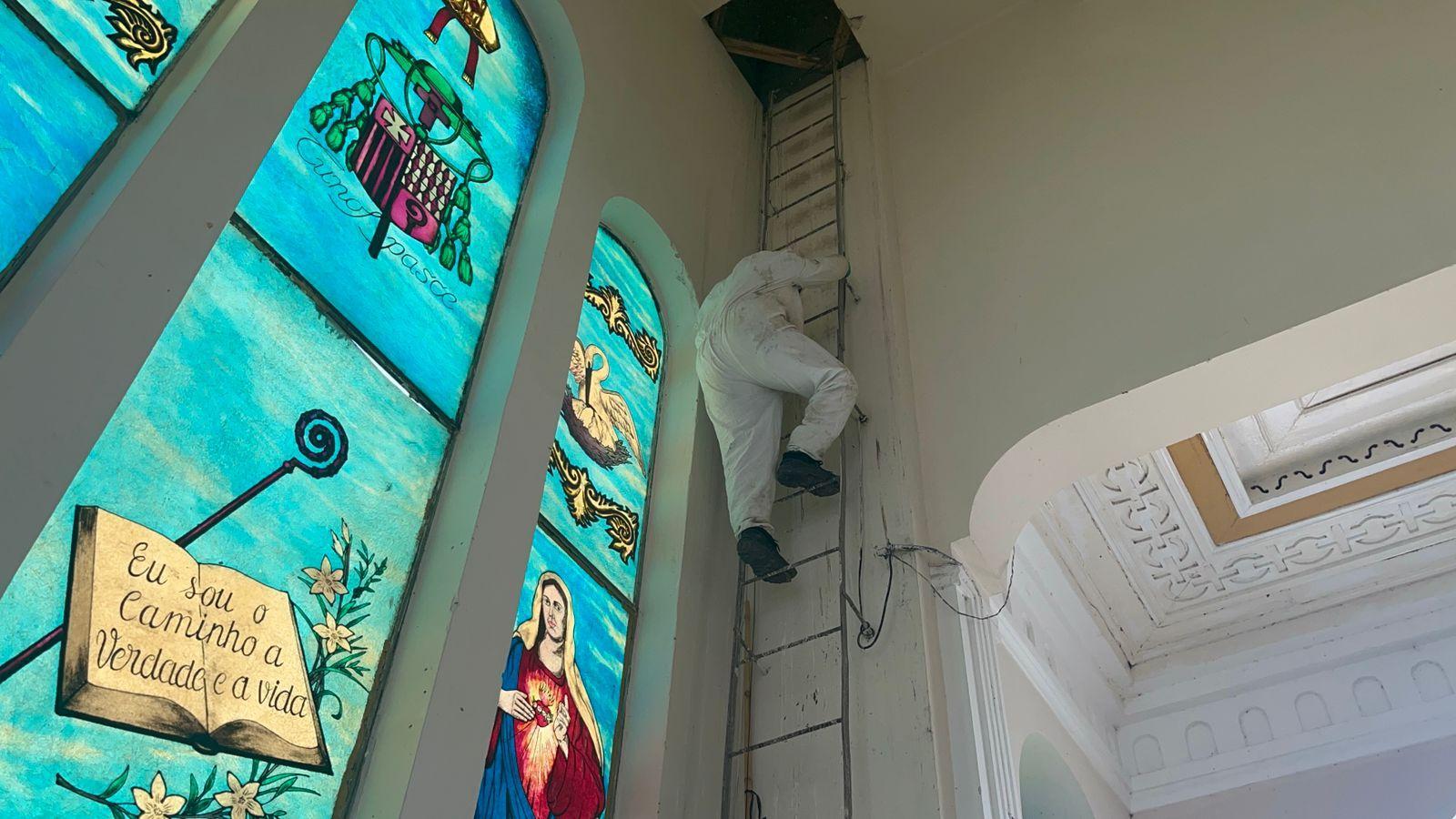 Abelhas atacam pessoas dentro de igreja no Piauí