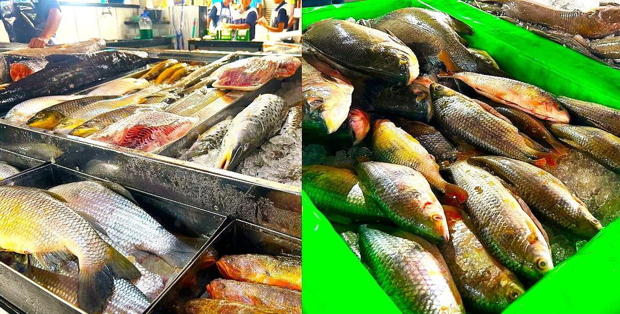 Movimento aumenta no Mercado do Peixe, em Teresina, durante a Quaresma, período em que católicos intensificam o consumo de pescados.