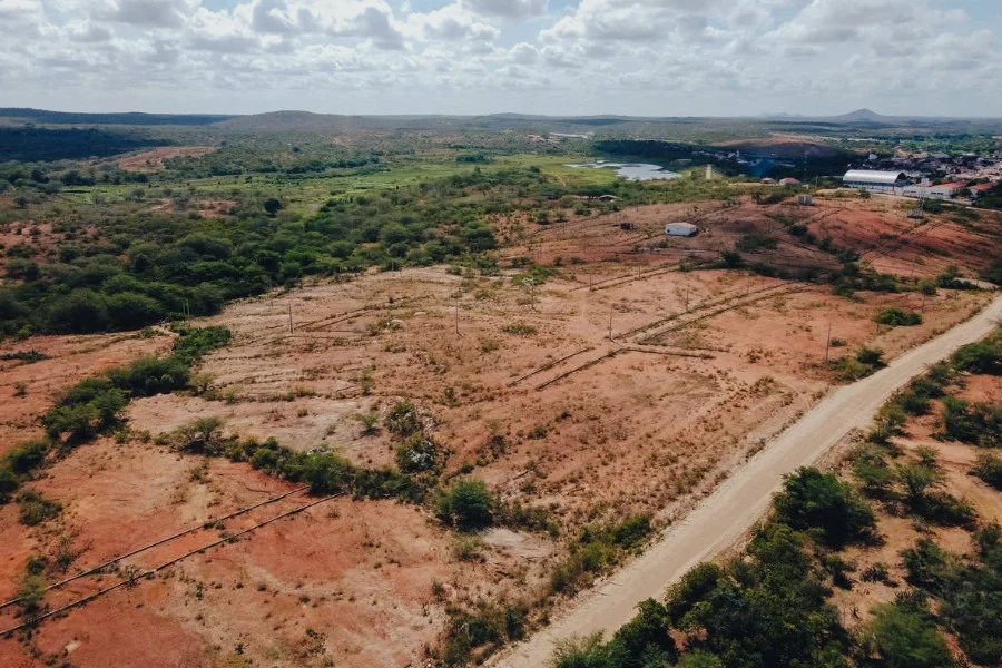 Especialistas alertam que o desmatamento da Caatinga gera riscos inclusive para o próprio agronegócio