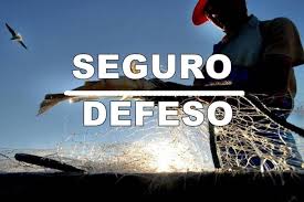 Seguro Defeso