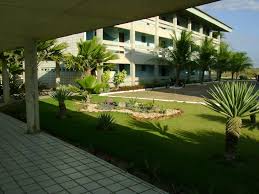 Colônia de Férias IPMT