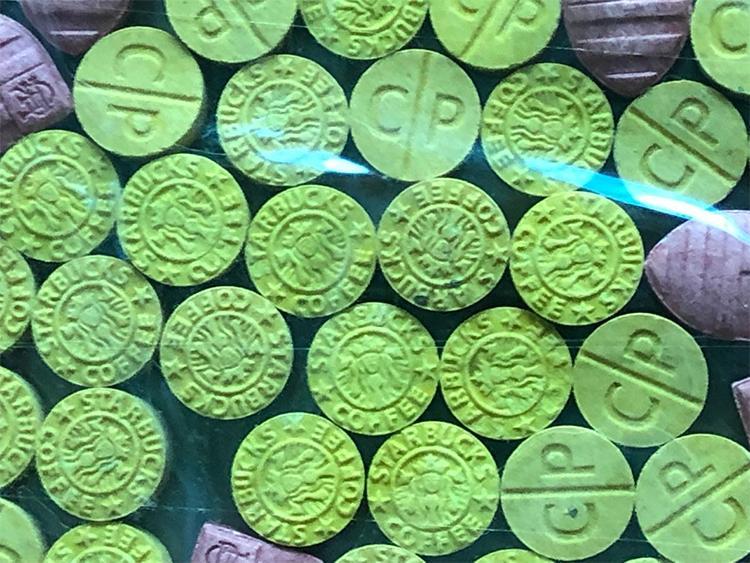 PF apreende droga que era enviada de São Paulo para Teresina
