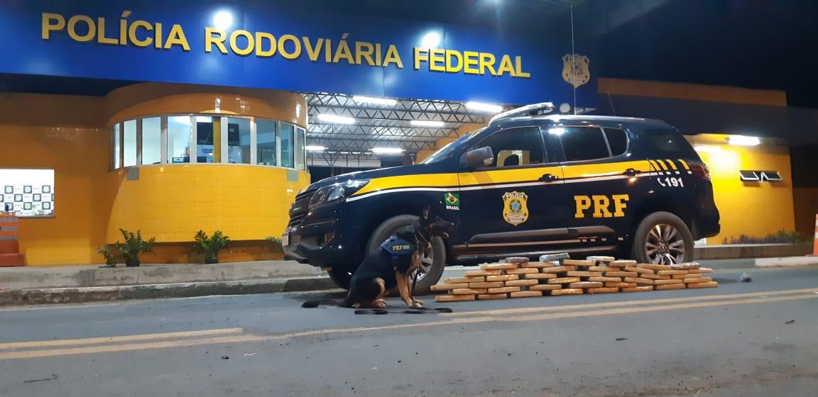 Cão farejador da PRF-PI ajudou a encontrar entorpecentes