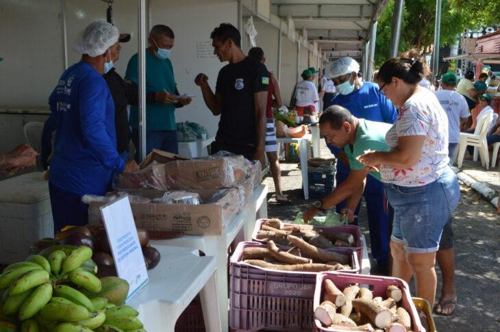 1ª Feira Agripecuária em Altos