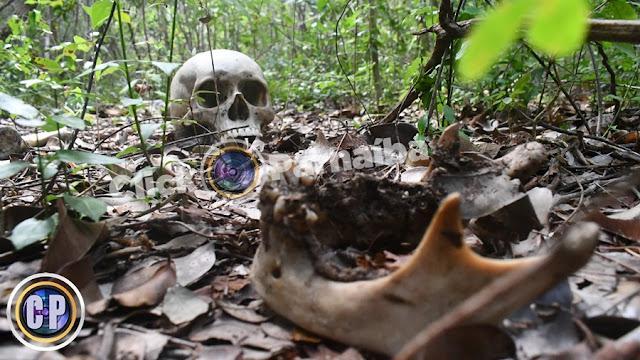 Ossada humana é encontrada em região de mata em Parnaíba