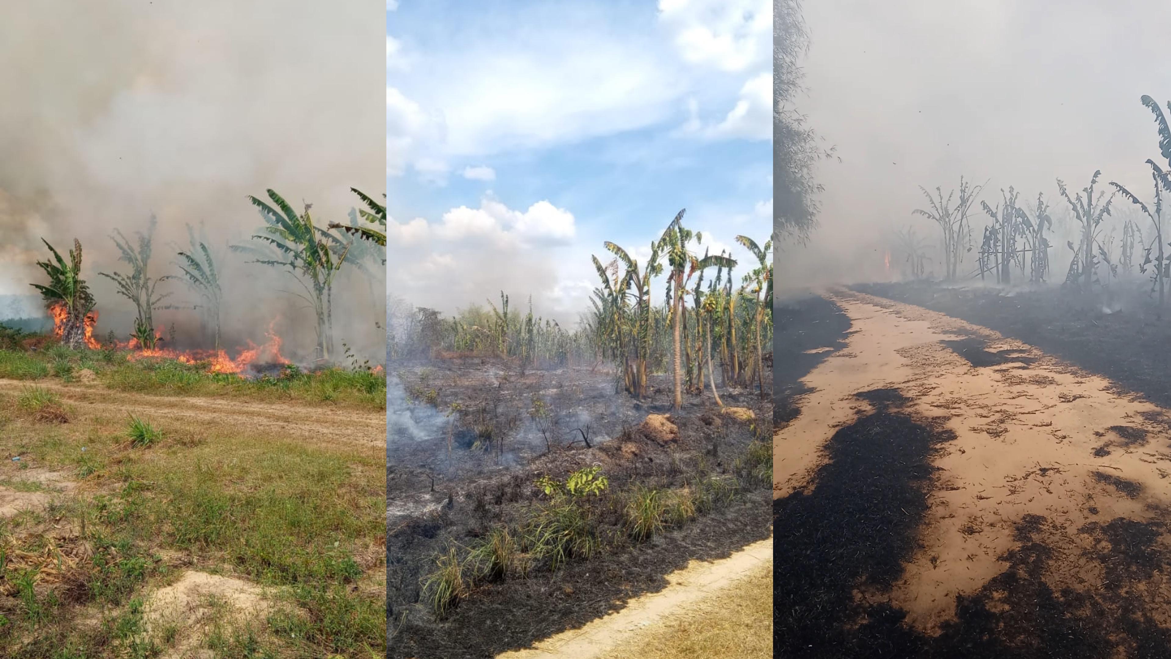 Horta comunitária do povoado Soinho pega fogo