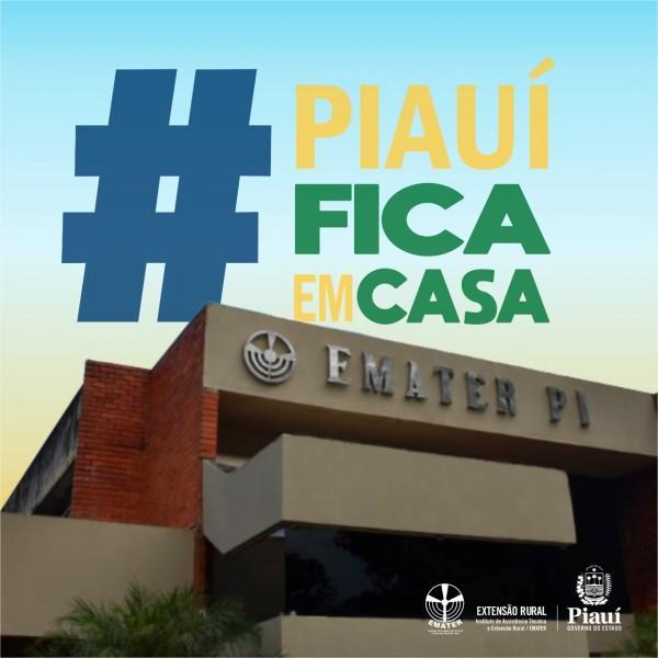 INSTITUTO DE ASSISTÊNCIA TÉCNICA E EXTENSÃO RURAL DO PIAUÍ