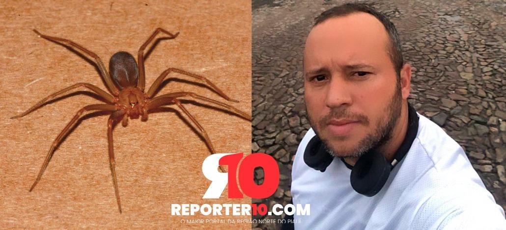 Enfermeiro foi picado por aranha marrom e foi parar no hospital