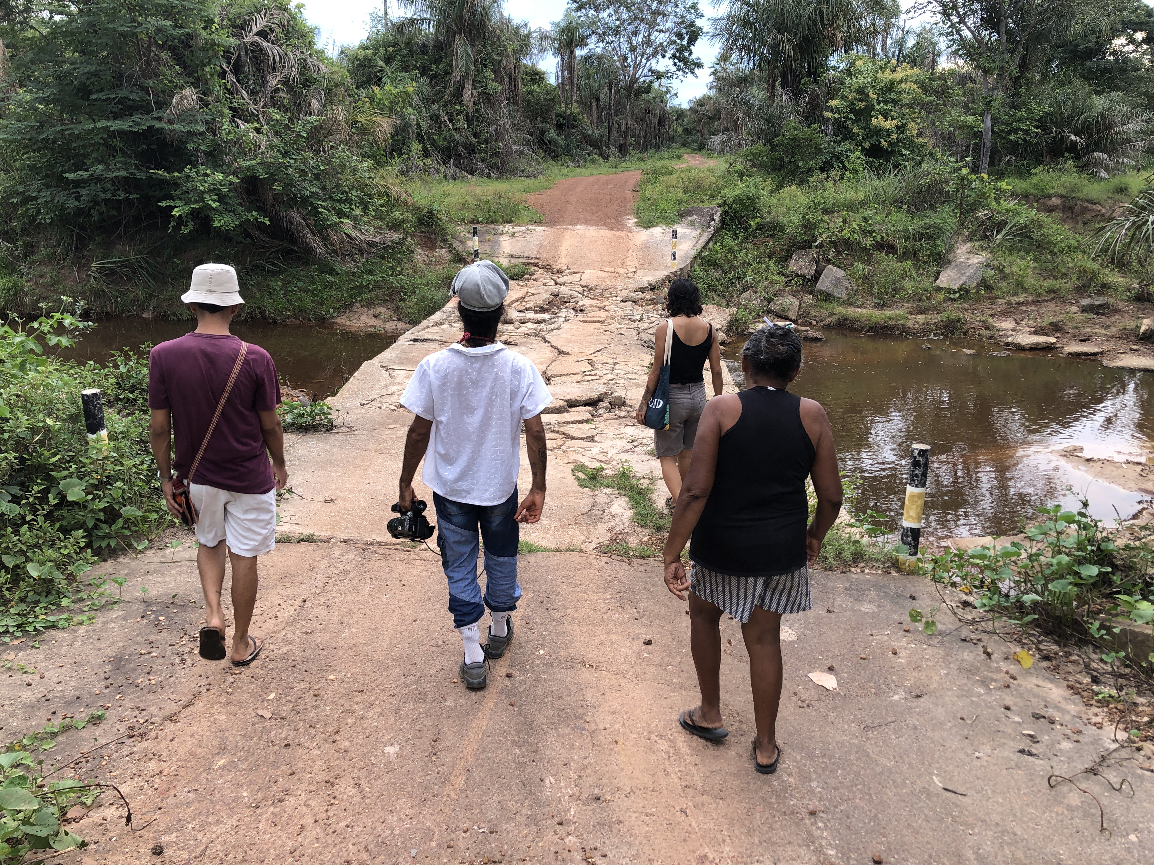 Teresina recebe Exposição “Árvore que Arranha” nesta quarta-feira (11)