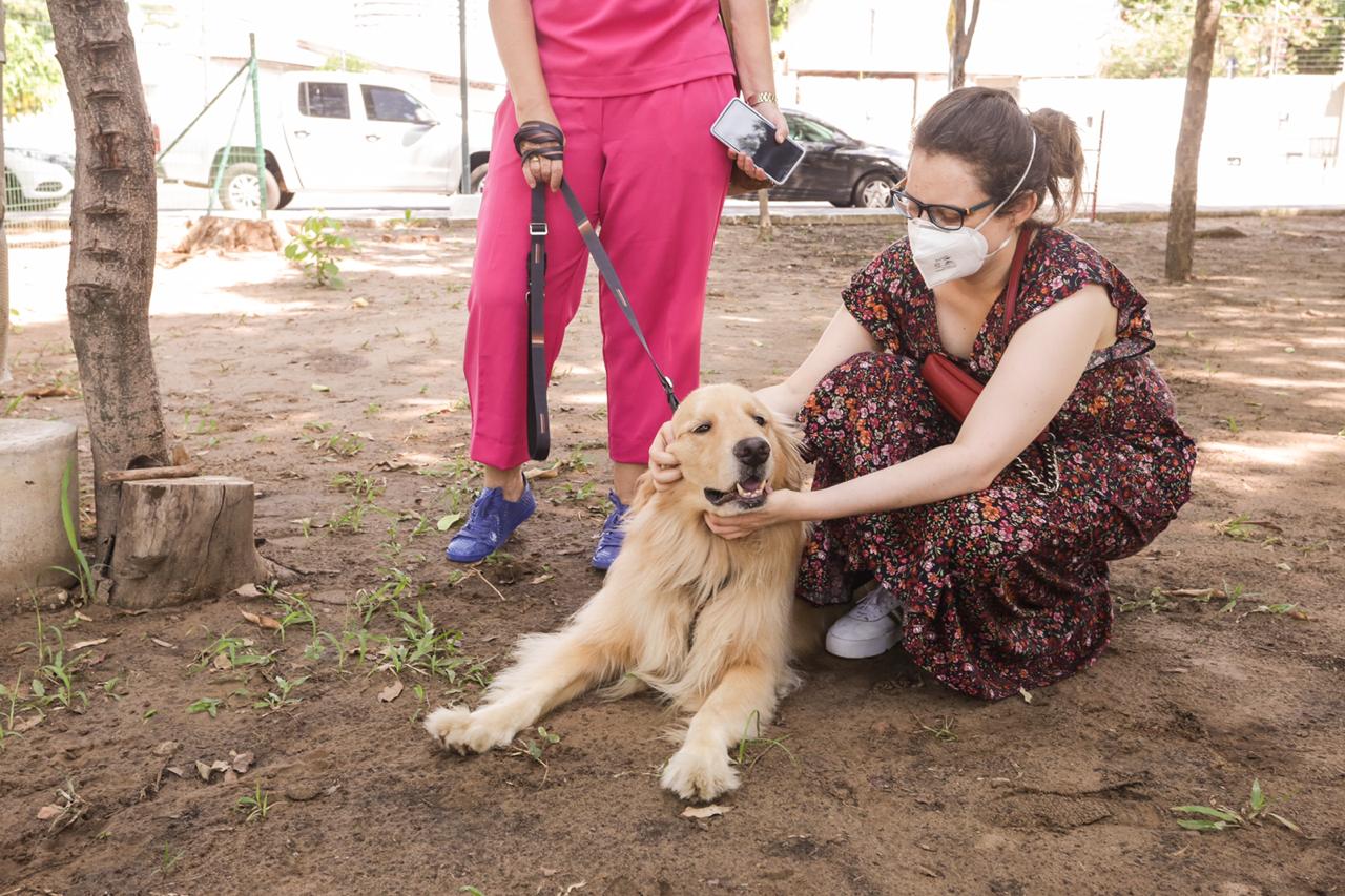 Espaço para cães é inaugurado em Teresina