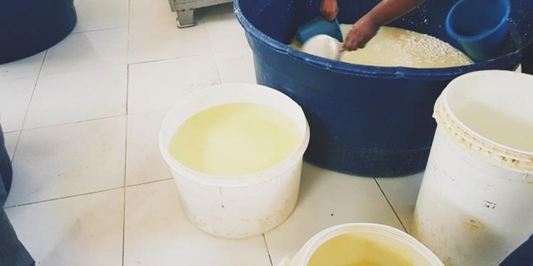 Condições insalubres em que o queijo era produzido