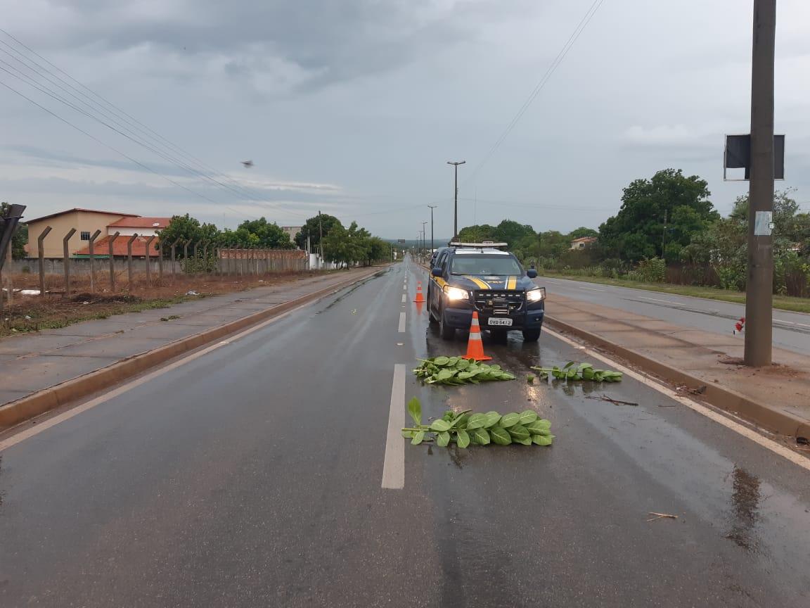 Homem cai de moto e morre na BR 343 em Piracuruca