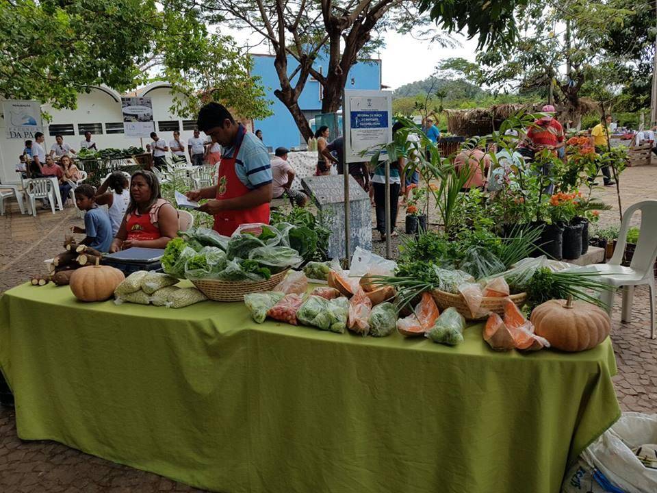 Feira do agricultor movimenta Cacimba Velha no próximo domingo, dia 19