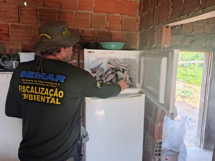 Fiscalização da Semarh flagra pescador em atividade durante piracema no Piauí