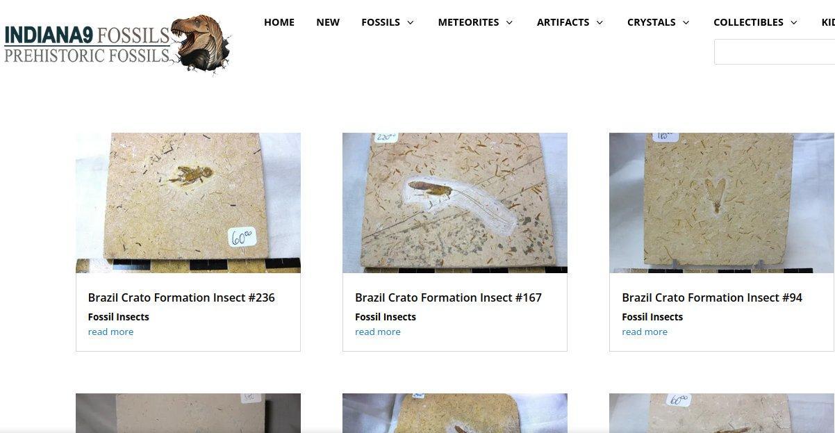 Site americano investigado