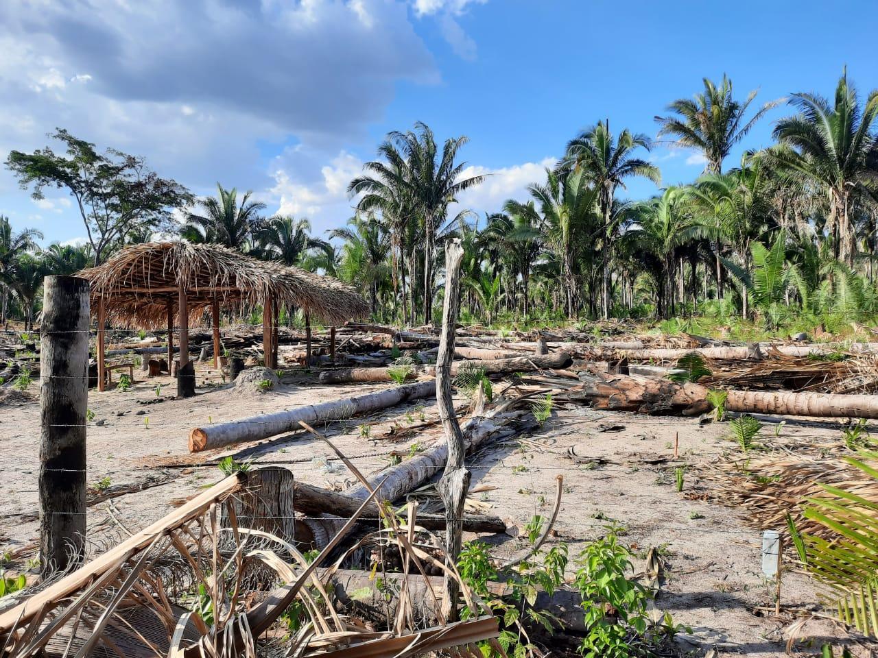 Terra invadida fica próximo ao Clube dos Comerciários, Zona Rural Leste de Teresina