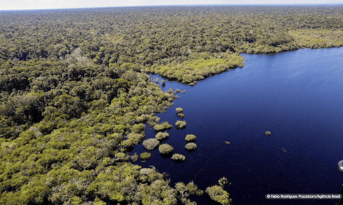 Fundo Amazônia