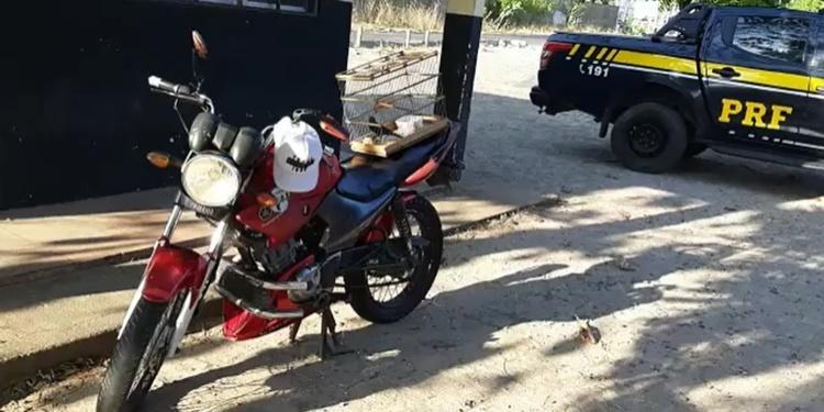 Gaiola com pássaro era transportada nesta Yamaha Factor na BR-316