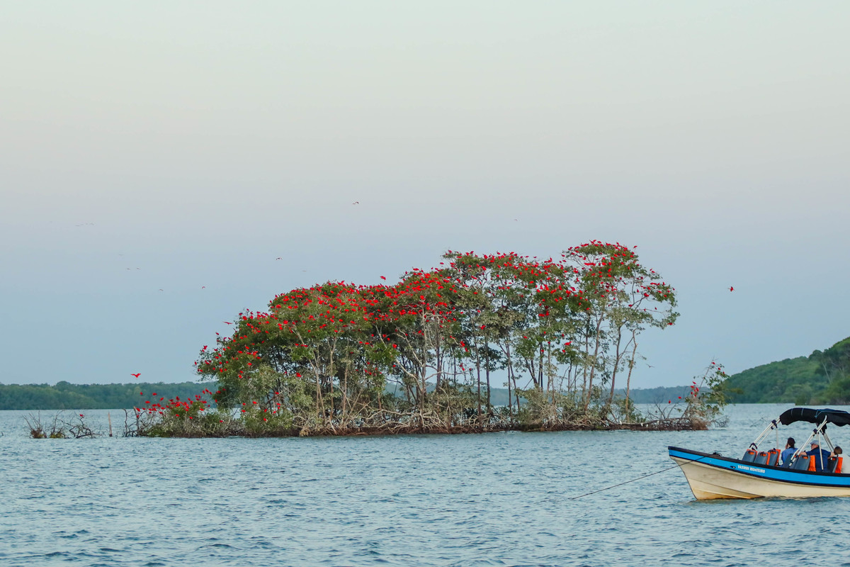 Turismo no Piauí cresce acima da média e rompe barreiras na geração de empregos