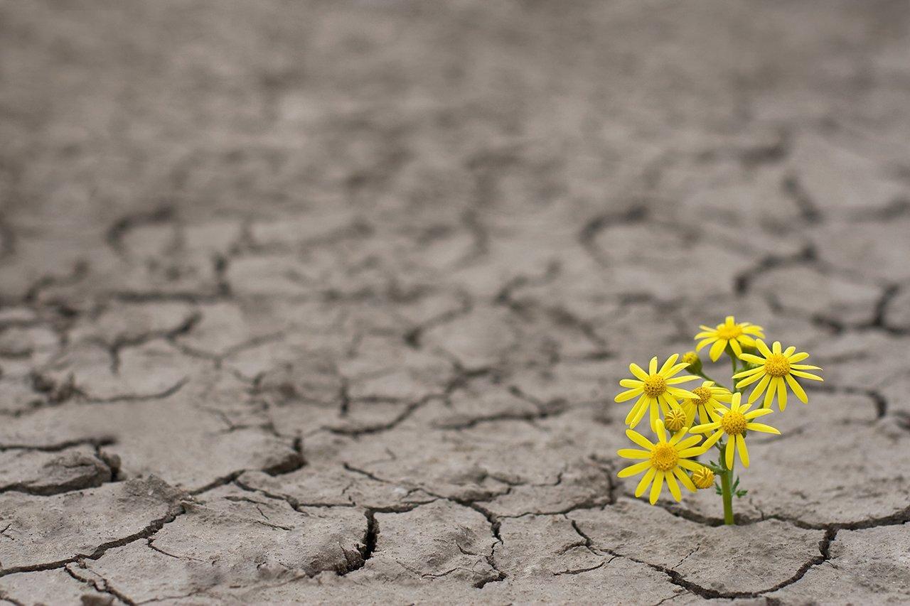 Resiliência
