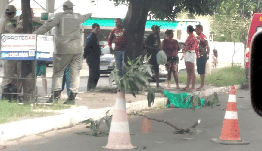 Homem morreu após cair da árvore