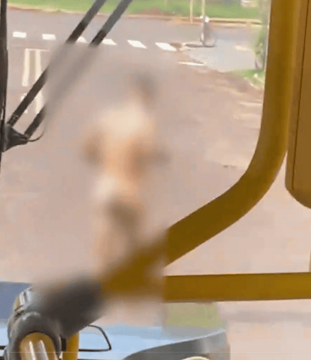 Homem é flagrado correndo nu pelas ruas de Campo Grande no Mato Grosso do Sul