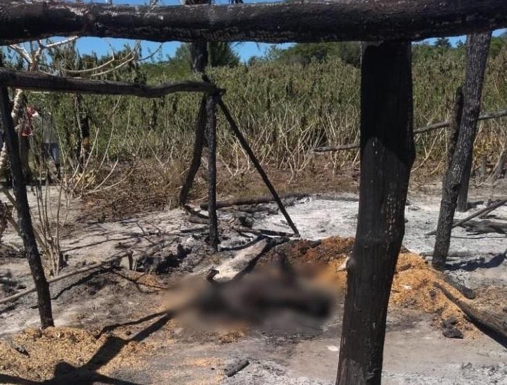 Corpo de idoso é encontrado carbonizado em Barras