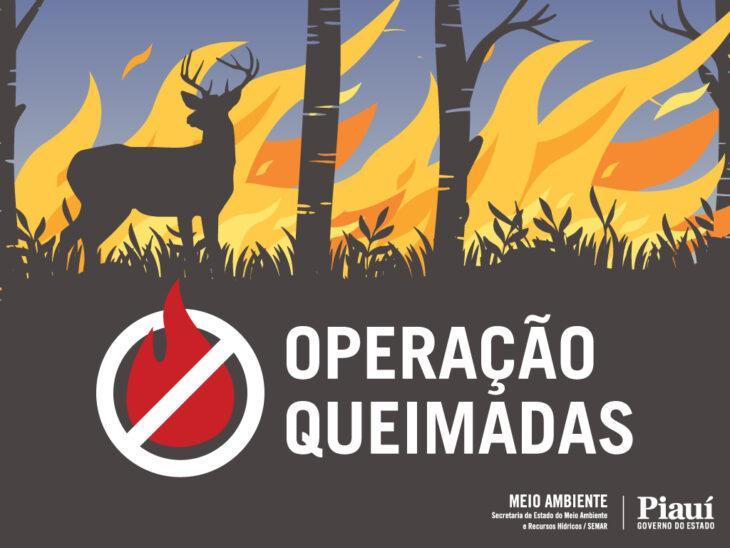 Operação Queimadas