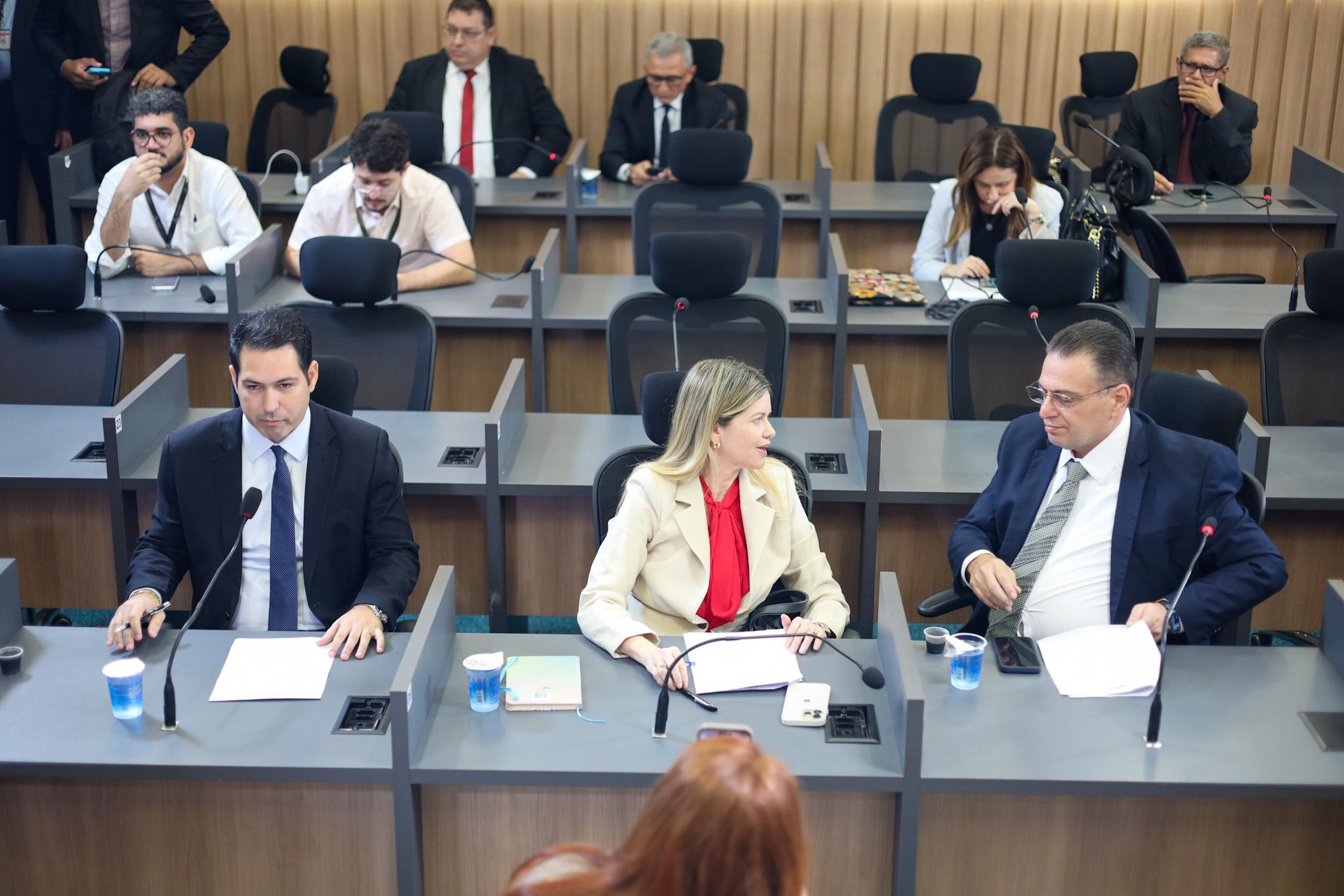 Reunião da Comissão de Constituição e Justiça da Alepi