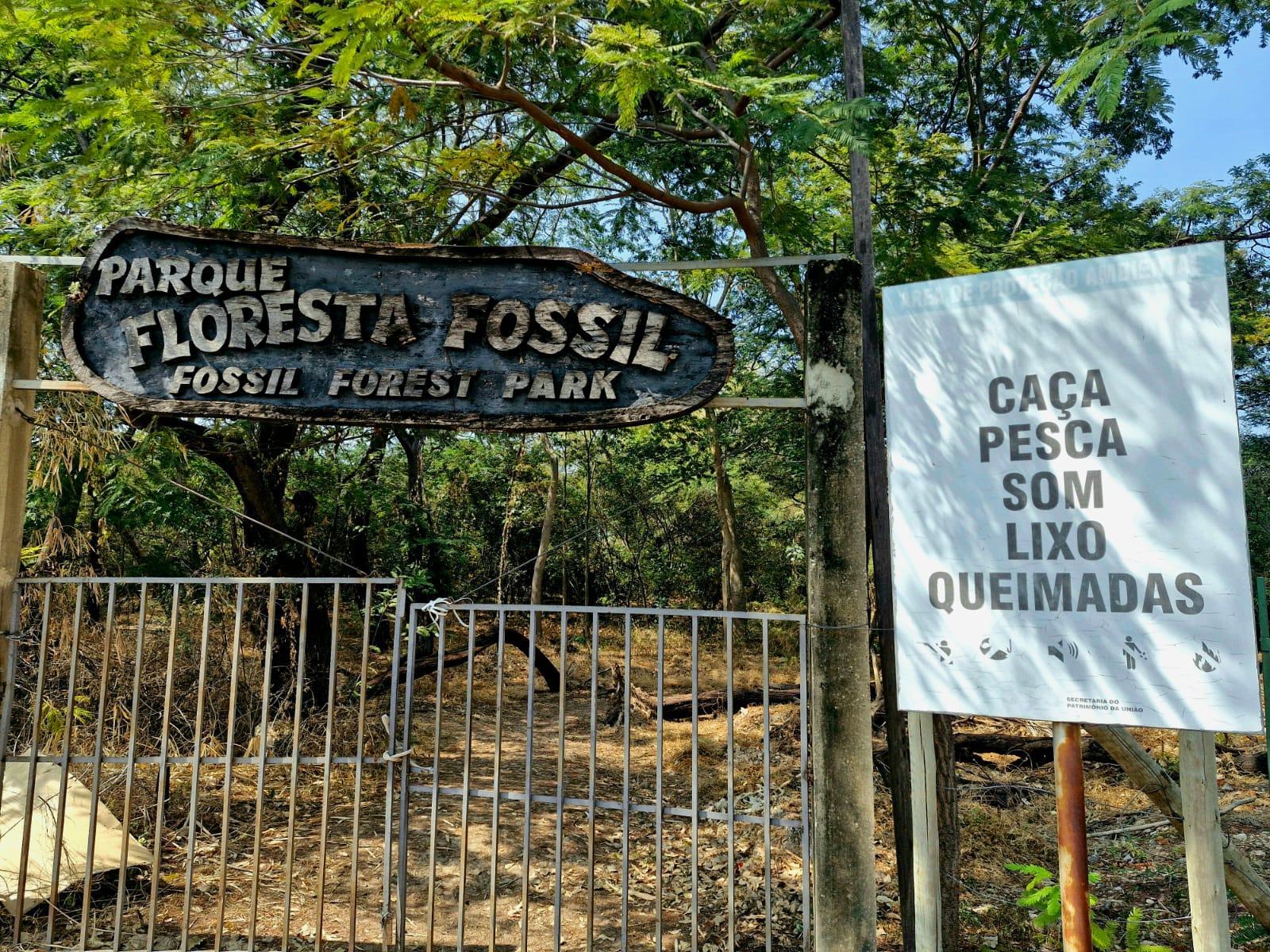 Entrada do Parque Floresta Fóssil
