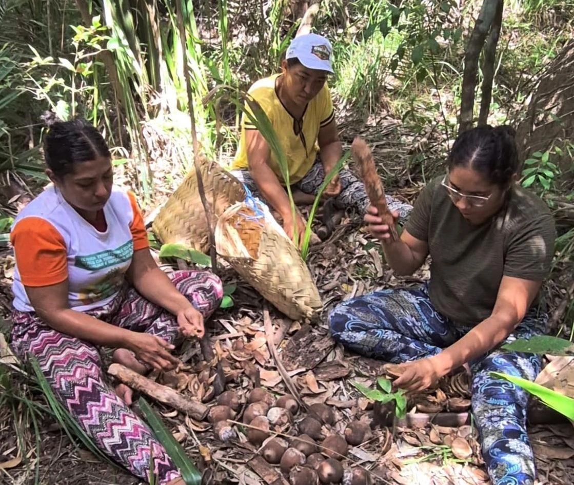 Quebradeiras de coco trabalhando na extração do babaçu