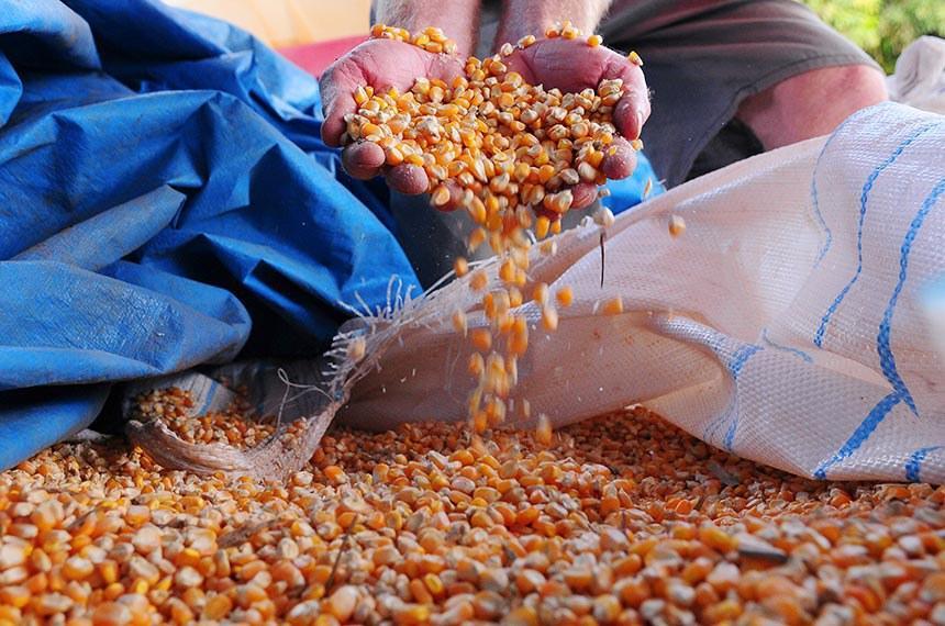 Medida deve reduzir os custos de produção, sobretudo no período de entressafra