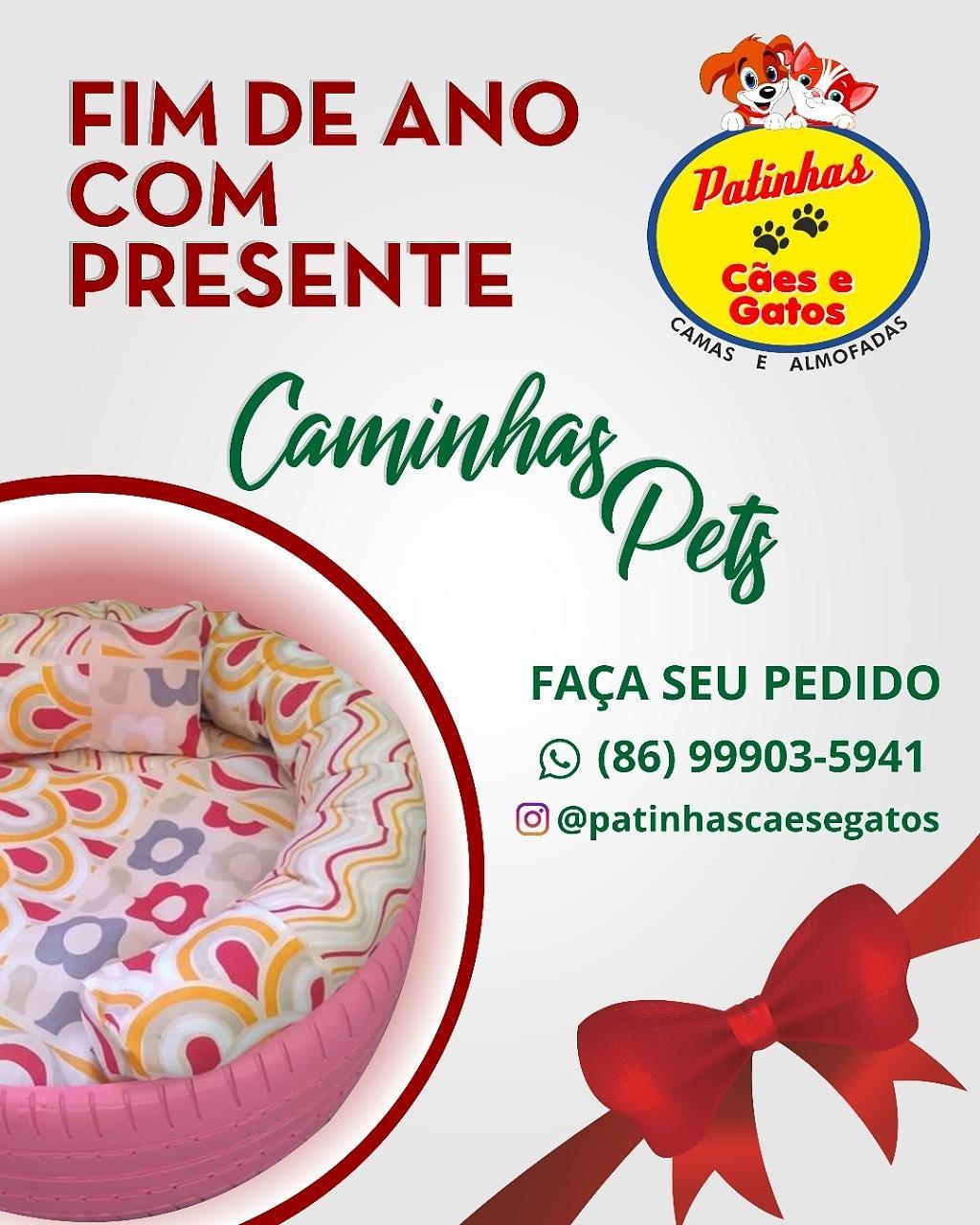 Caminhas Pets. Um sucesso em Teresina