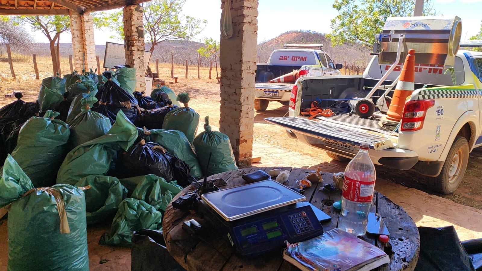 Cerca de 50 sacos de drogas foram encontrados na casa
