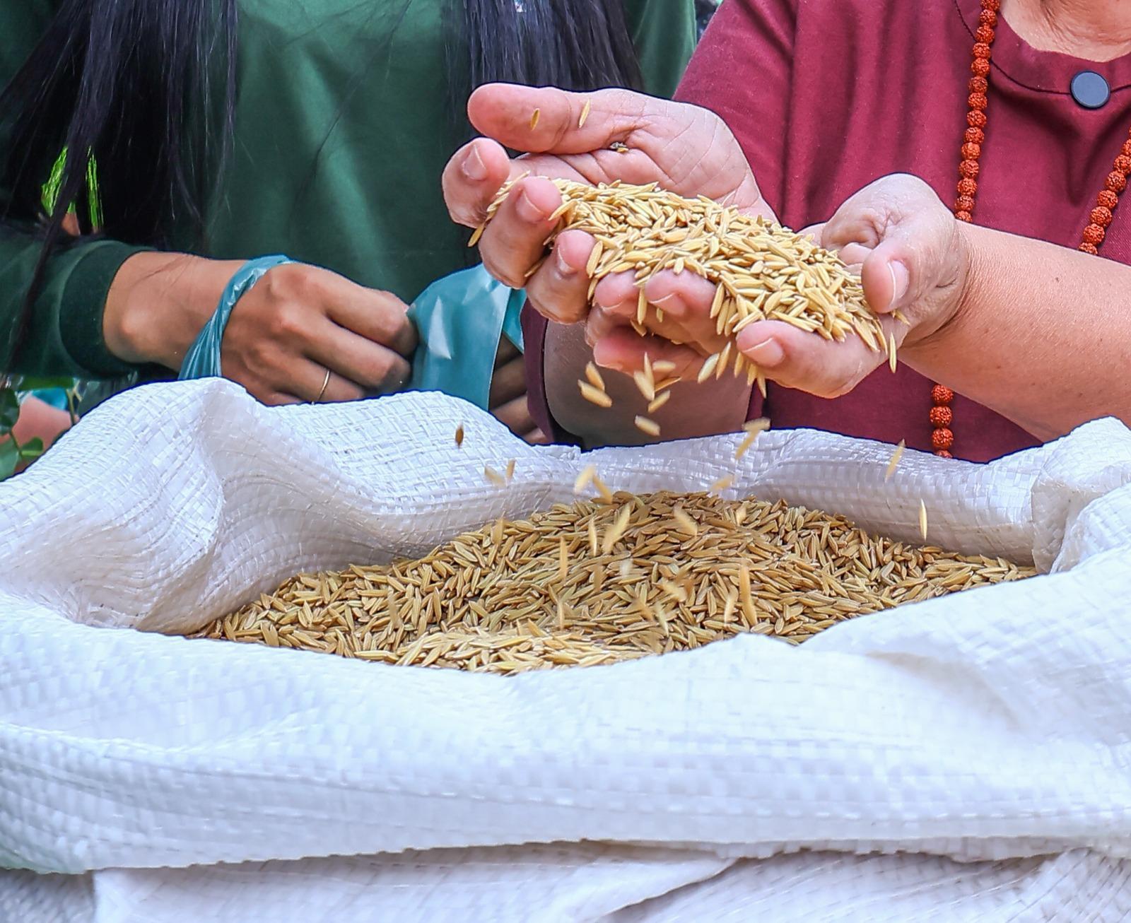 Agricultores familiares recebem sementes na hora certa