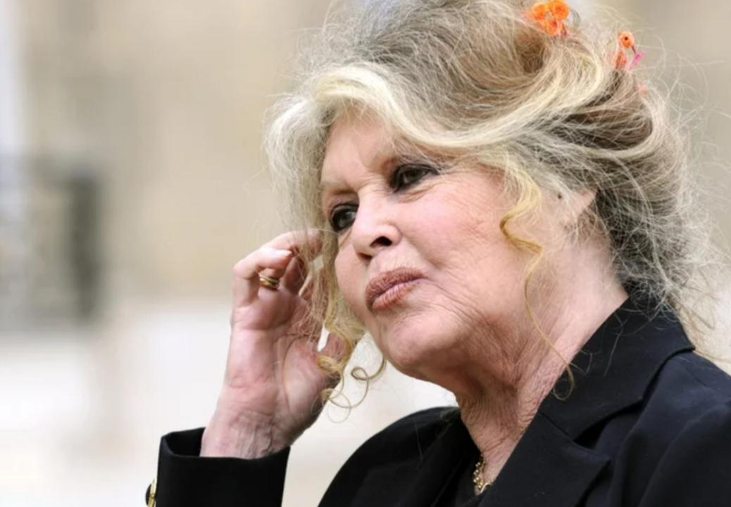 A atriz Brigitte Bardot dedicou sua vida na defesa dos animais