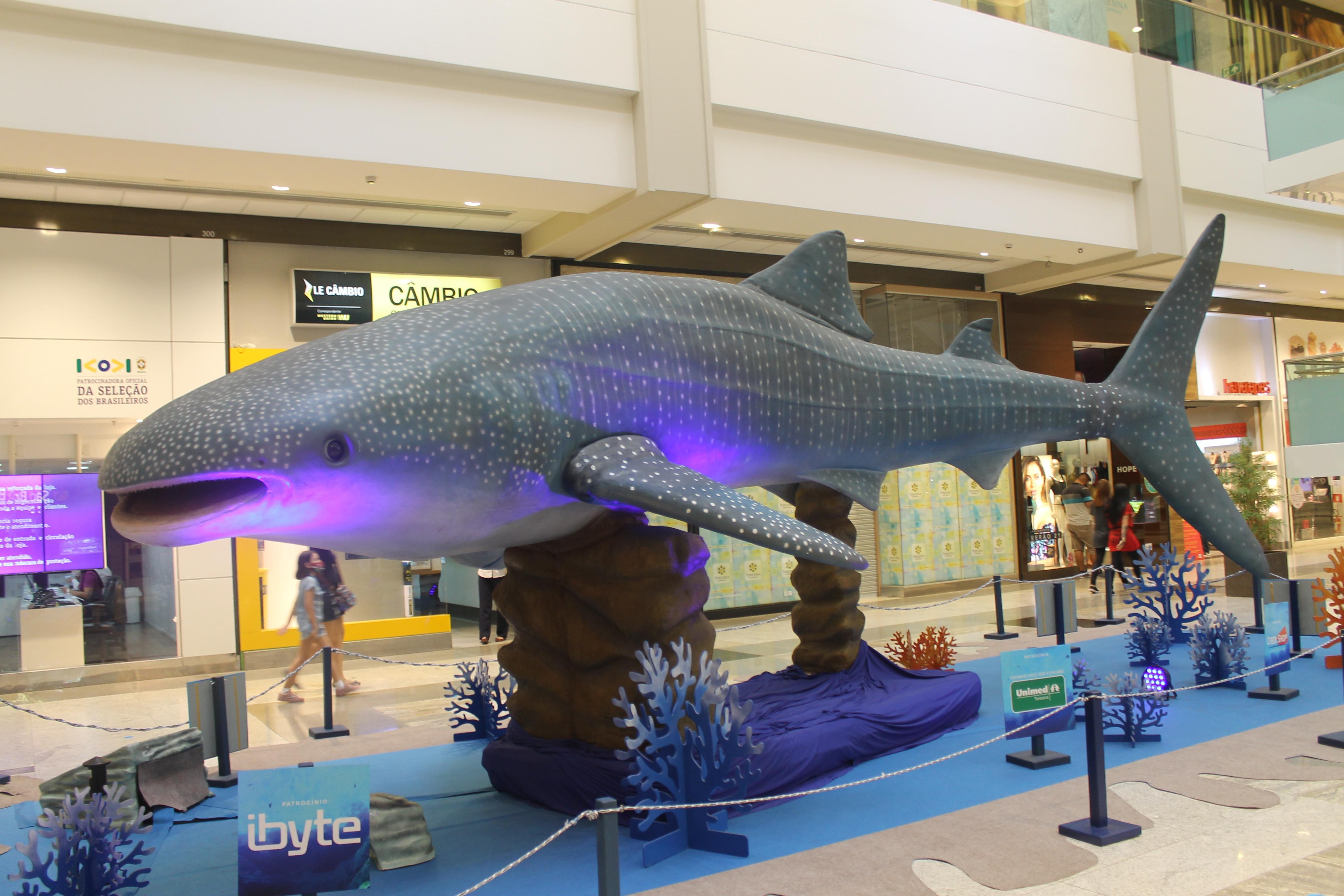 Atrativa exposição no Teresina Shopping