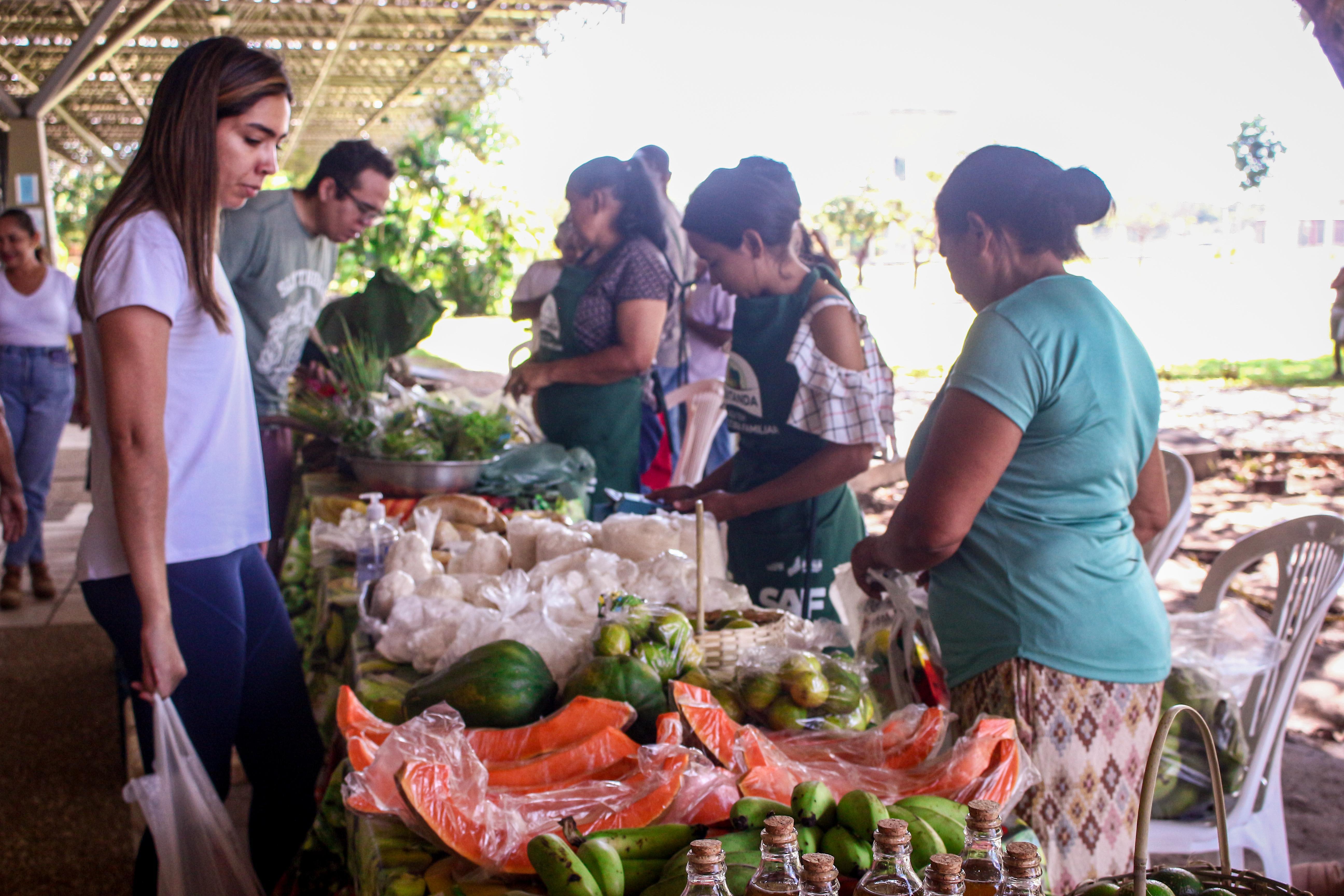 Quitanda da Agricultura Familiar na Feirinha Verde