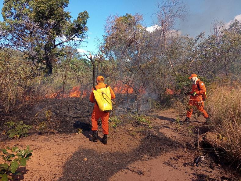Bombeiros trabalham no controle de focos de incêndio