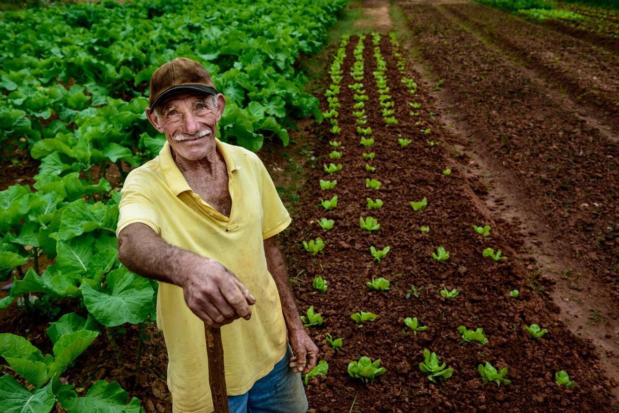 Agricultura