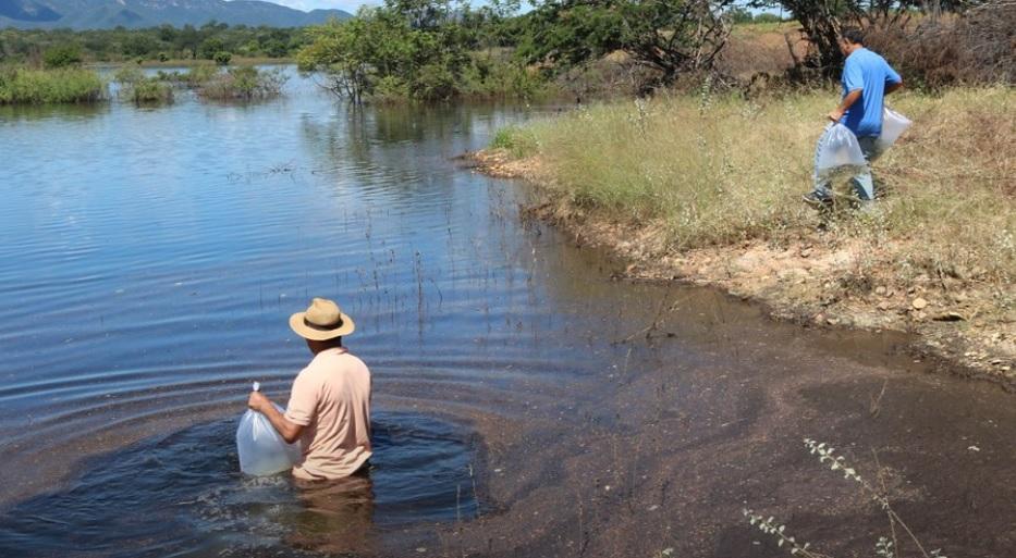 Barragem em Bom Jesus da Lapa