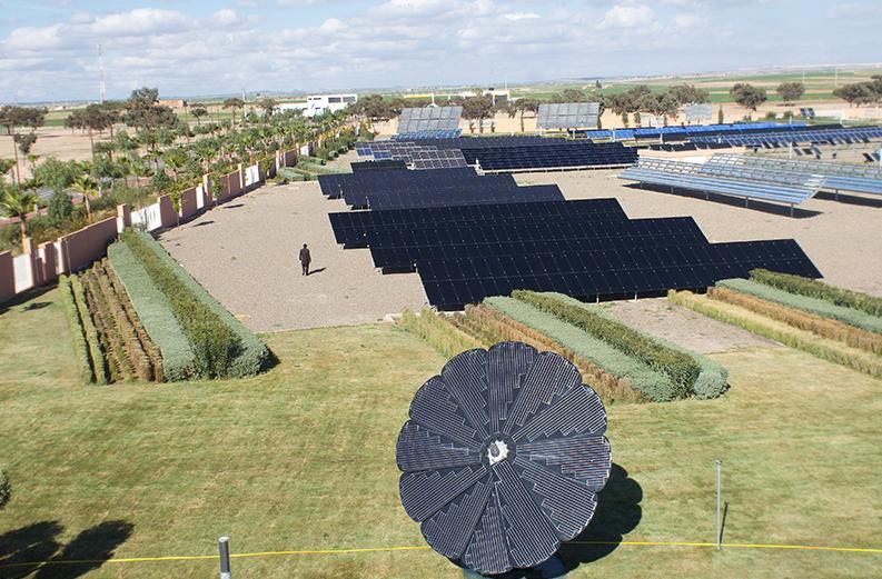 Plataforma internacional da Green Energy Park