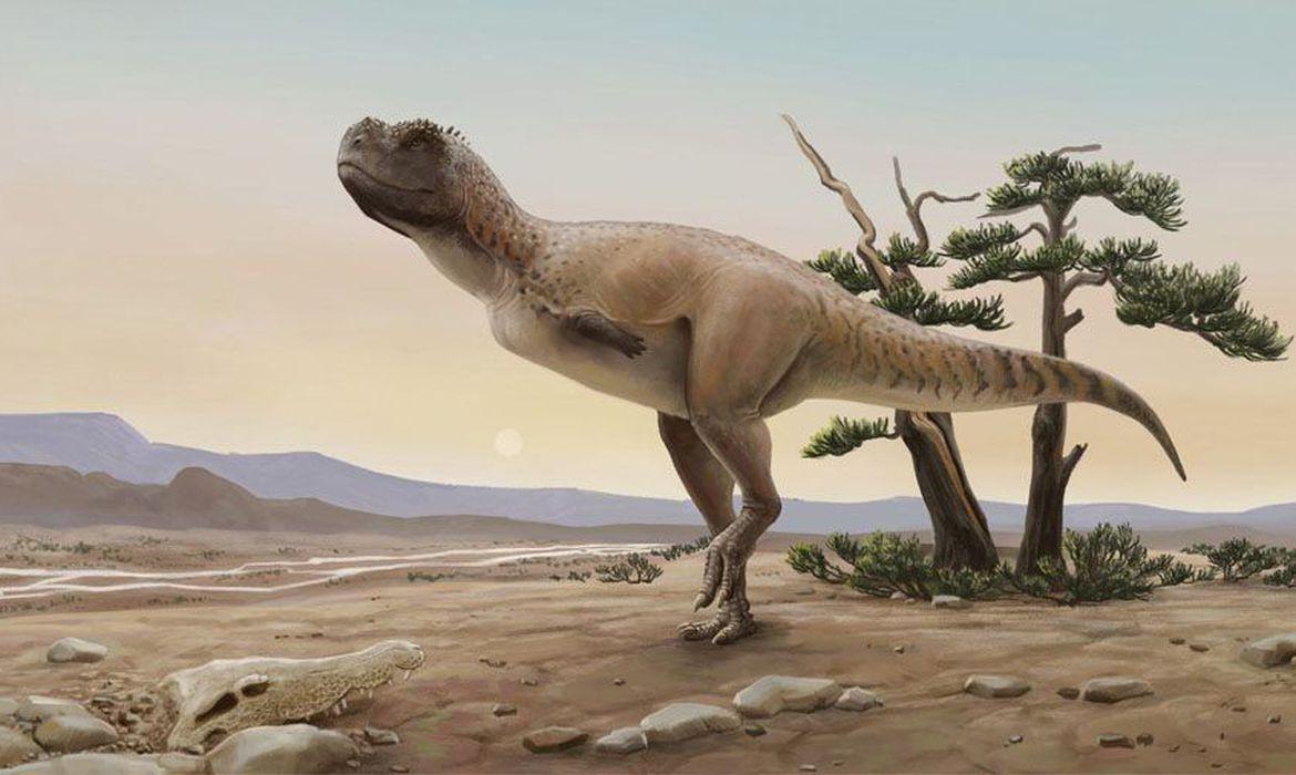 Nova espécie de dinossauro carnívoro é descoberto em São Paulo
