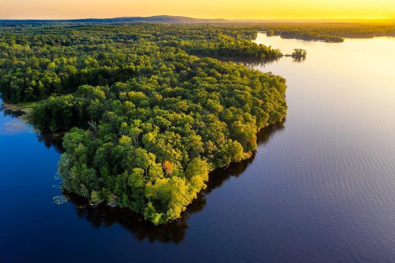 Amazônia+10
