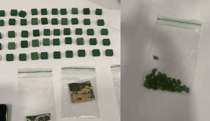 Primeira apreensão de droga "Lágrima de Shiva" no Piauí